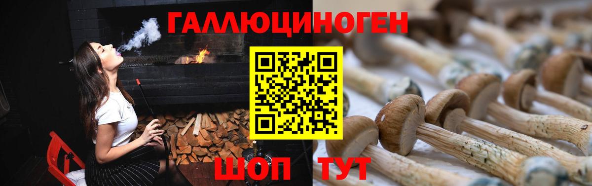 Псилоцибиновые грибы MAGIC MUSHROOMS  Псилоцибиновые грибы Cubensis  Нягань  Вход с VPN 
